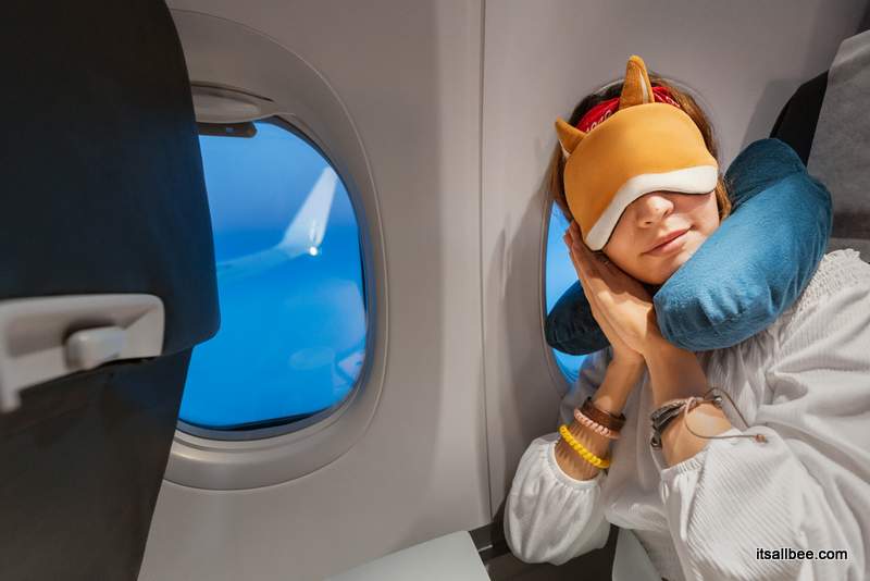 Are These The Most Comfortable Travel Pillows For Long Haul