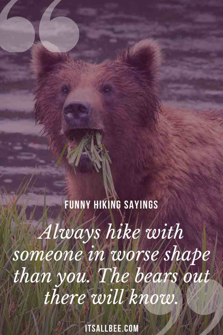31 Funny Hiking Quotes Sayings For Nature Lovers Itsallbee Solo Travel Adventure Tips