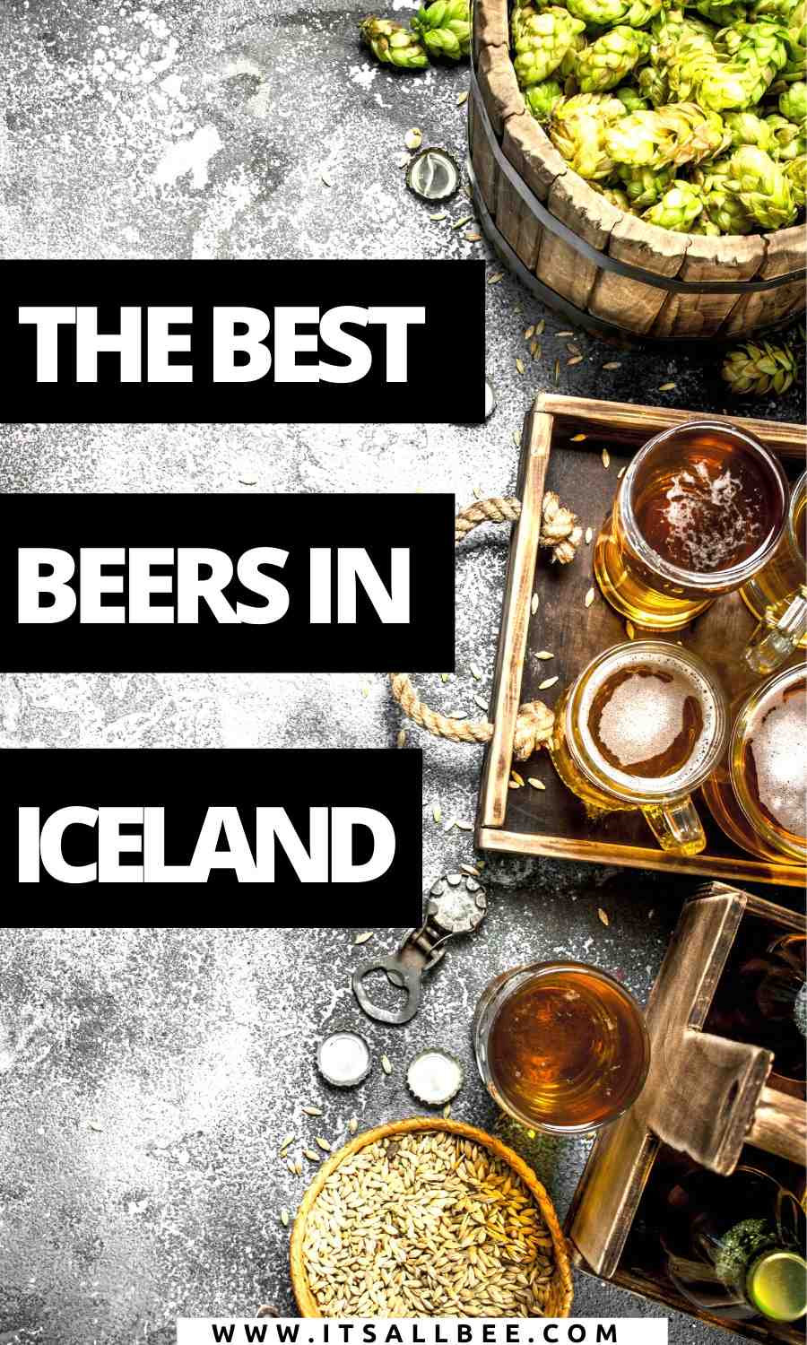 Snorri Icelandic ale, craft beer reykjavik, einstok Icelandic dopplebock, Icelandic pale ale, akureyri beer, brewery best beer iceland, best Icelandic beer, viking brewery, price of beer, cost, most popular beer in Iceland