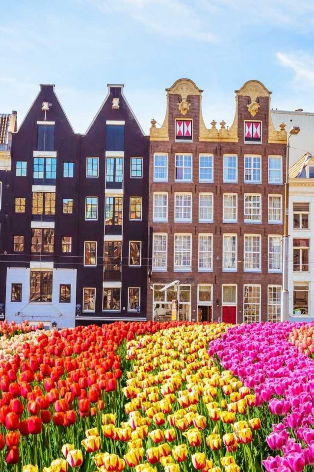 44 Amazing Quotes About Amsterdam - ItsAllBee | Solo Travel & Adventure ...