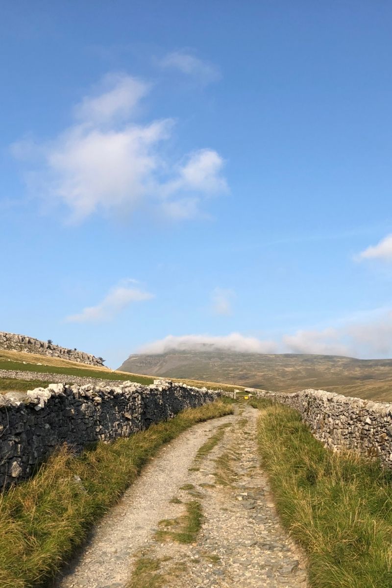 Discover the best walks in Yorkshire, from breathtaking waterfalls to dramatic peaks and historic trails. Explore scenic routes perfect for all hikers in God’s Own County! Yorkshire Dales National Park, Yorkshire Dales, Yorkshire Dales Aesthetic, Yorkshire Dales Cottage, Yorkshire Dales Landscape, Hiking Yorkshire Dales, Yorkshire Dales Hike, Yorkshire Hike, Villages, Yorkshire Dales Camping, English Countryside Landscape Yorkshire Dales, Farmhouse, Yorkshire Dales Itinerary, Summer, Spring