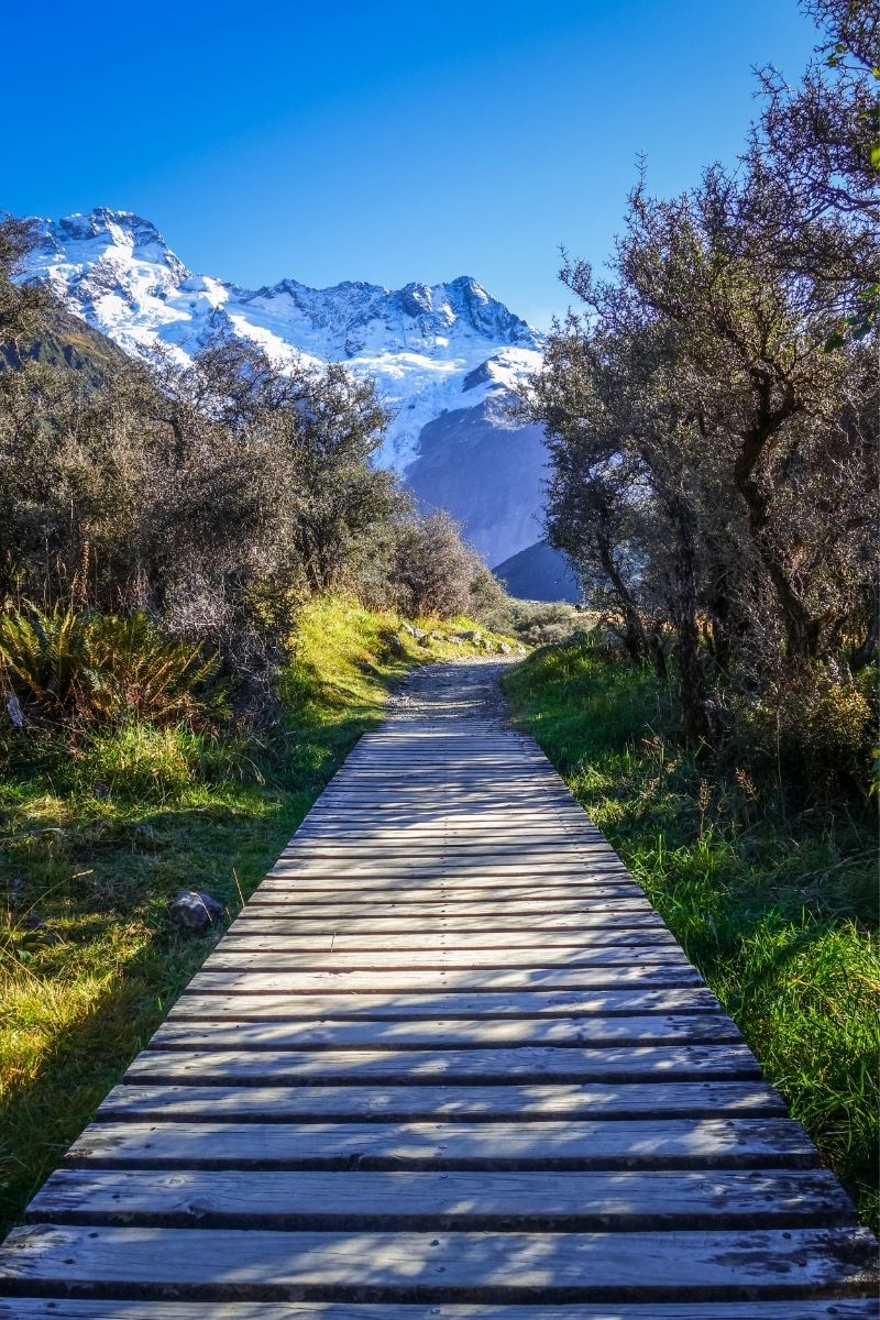 The best walks in New Zealand, from stunning coastal trails to breathtaking alpine hikes. Plan your next adventure with this ultimate hiking guide! Tongariro Alpine Crossing, Milford Track, Routeburn Track, Abel Tasman Coast Track, Franz Josef Glacier Valley Walk, Hooker Valley Track, Kepler Track, Hollyford Track, Lake Waikaremoana, Mount Taranaki Summit, Pinnacles Track, Queen Charlotte Track, Roy’s Peak, Cape Kidnappers Walk, Catlins Coastal Walks, Hiking In New Zealand, Hiking Itinerary