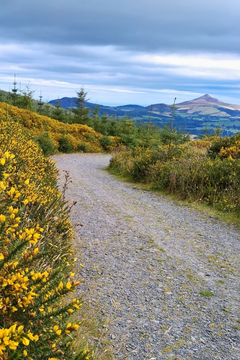 The 15 best walks in Ireland, from breathtaking coastal cliffs to serene mountain trails. Explore stunning landscapes, historic sites and hidden gems perfect for every hiker. Northern Ireland Walks, Nature Walks Ireland, Cliffs Of Moher Coastal Walk, Wicklow Way, Giants Causeway Cliff Walk, Croagh Patrick Pilgrim Path, Carrauntoohil, Howth Cliff Walk, Burren Way, Glendalough Spinc Walk, Slieve League Cliffs Walk, Aran Islands Loop Walk, Gap Of Dunloe Walk, Easy Walks In Ireland, Hiking Ireland