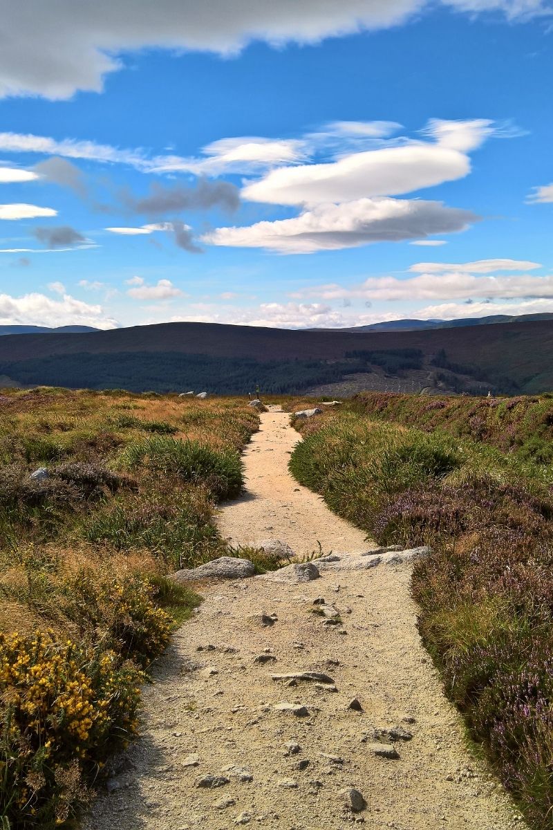 The 15 best walks in Ireland, from breathtaking coastal cliffs to serene mountain trails. Explore stunning landscapes, historic sites and hidden gems perfect for every hiker. Northern Ireland Walks, Nature Walks Ireland, Cliffs Of Moher Coastal Walk, Wicklow Way, Giants Causeway Cliff Walk, Croagh Patrick Pilgrim Path, Carrauntoohil, Howth Cliff Walk, Burren Way, Glendalough Spinc Walk, Slieve League Cliffs Walk, Aran Islands Loop Walk, Gap Of Dunloe Walk, Easy Walks In Ireland, Hiking Ireland